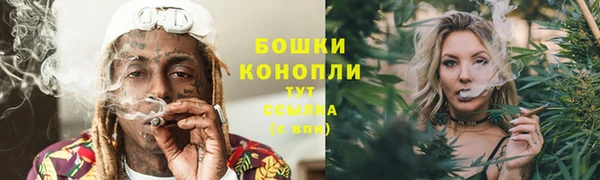 шишки Белокуриха