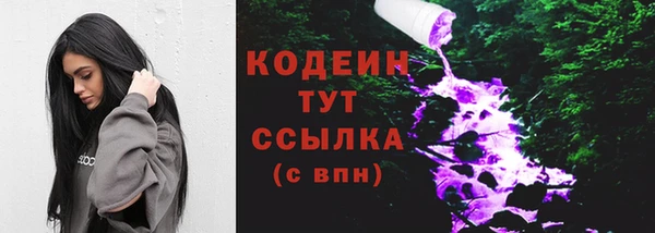 шишки Белокуриха