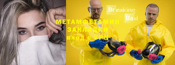 шишки Белокуриха