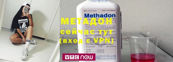 шишки Белокуриха
