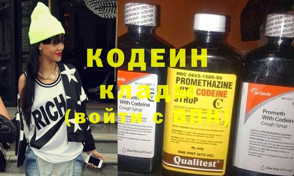 шишки Белокуриха