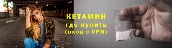 шишки Белокуриха