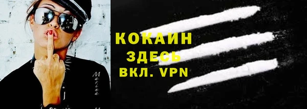 шишки Белокуриха