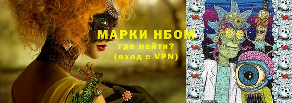 шишки Белокуриха