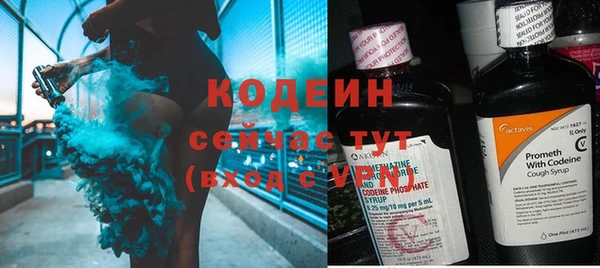 шишки Белокуриха