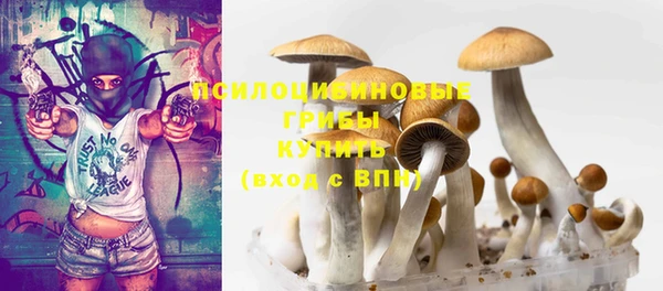шишки Белокуриха