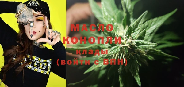 шишки Белокуриха